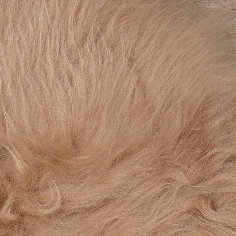Peau de mouton WOOOL - Beige islandais