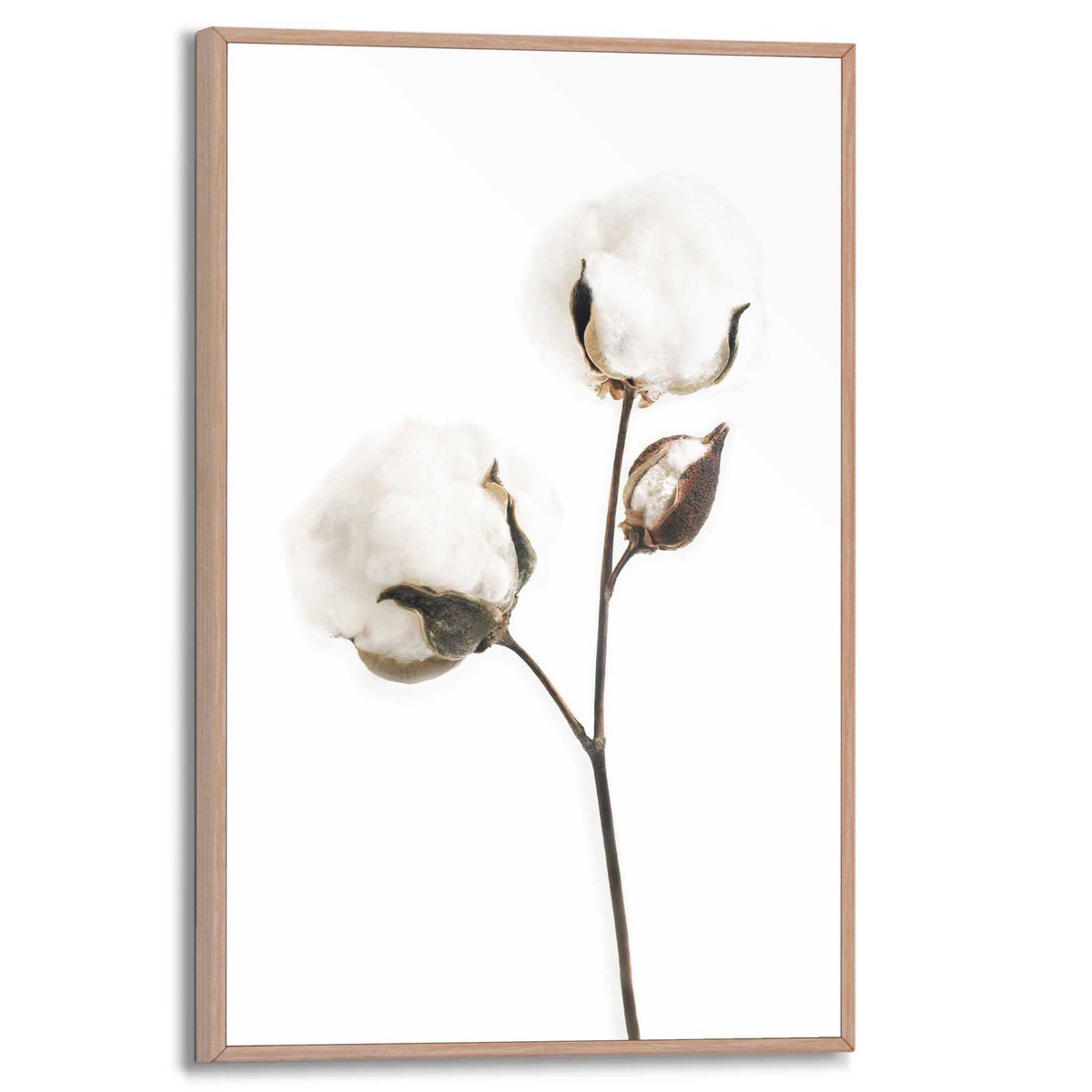 Painting Slim Frame Cotton Branch 30x20