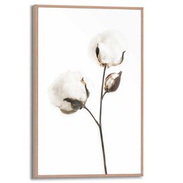 Painting Slim Frame Cotton Branch 30x20