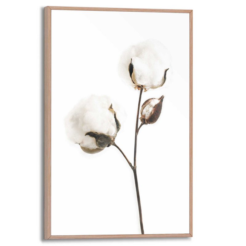 Painting Slim Frame Cotton Branch 30x20