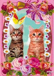 Poster Chats, 5 pièces
