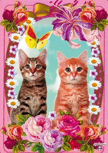 Poster Cats, 5 pieces