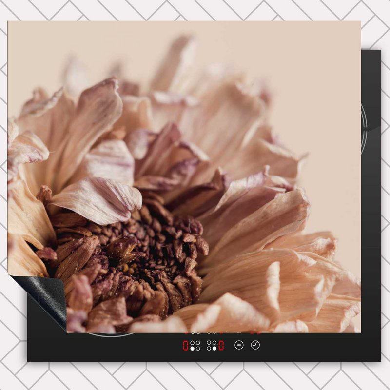Induction protector - Dried chrysanthemum