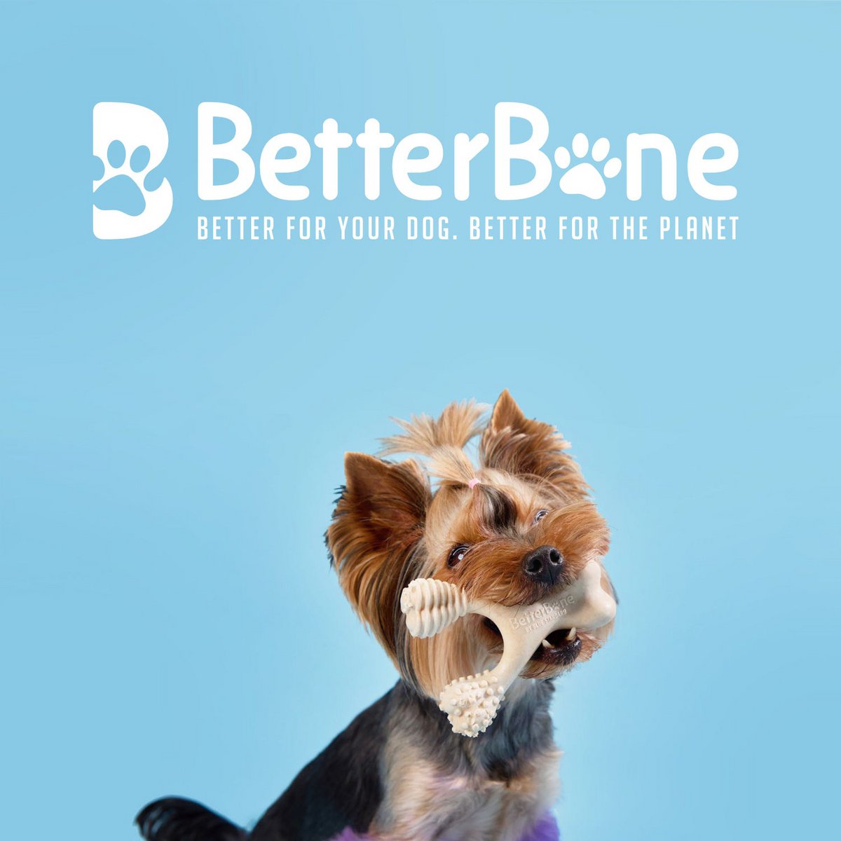 Betterbone Dogs Chewing Bones - Mini Soft Classic (zonder nylon, CO2 neutraal gemaakt in Europa)
