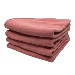 Toallitas bucales (juego)