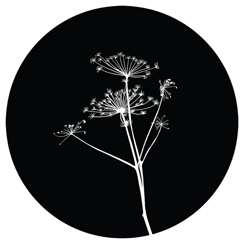 Wall circle bear claw black