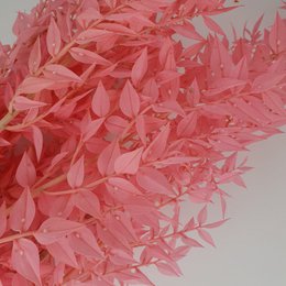 Ruskus Dalio delicate pink 300g