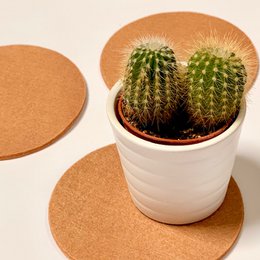 Felt Coasters - Round - set of 4