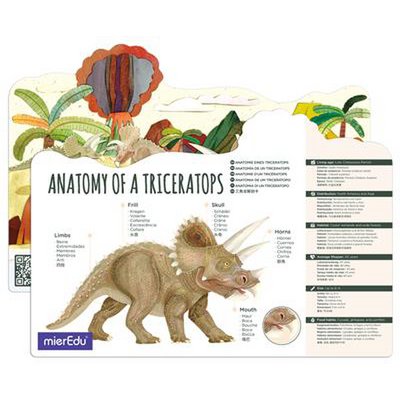 MierEdu - Movable 3D Puzzle - Triceratops