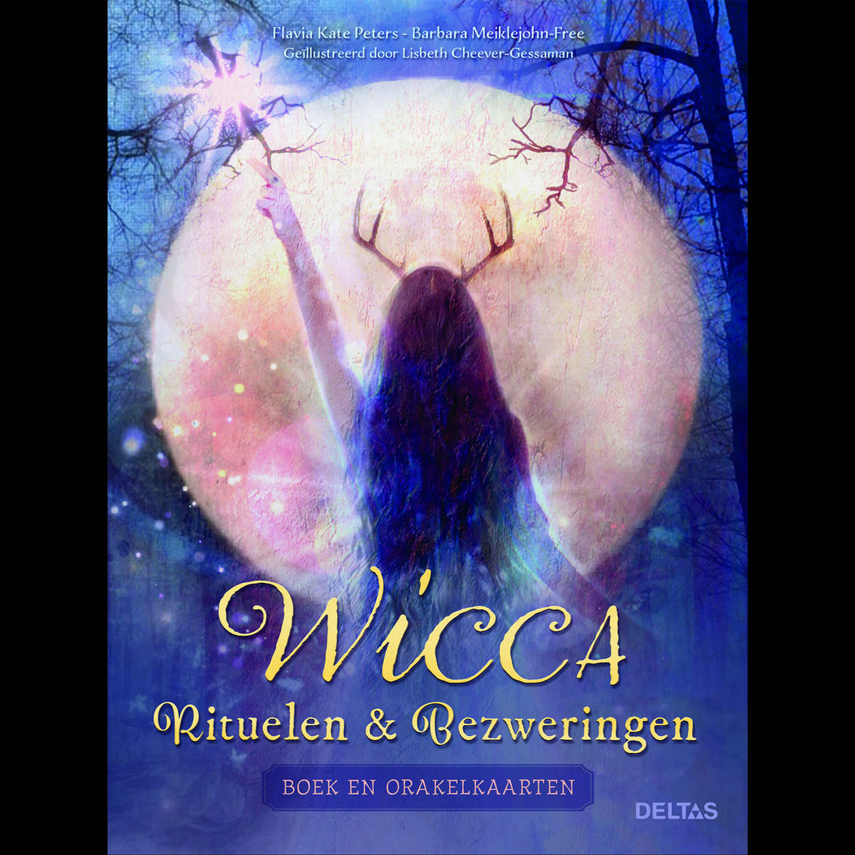 Wiccan rituals & incantations Book and oracle cards