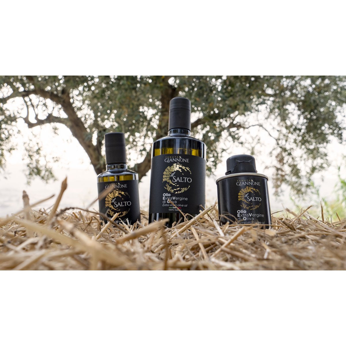 ITALIA | SICILIA | Extra Virgin Olive Oil - il SALTO | 100 ml