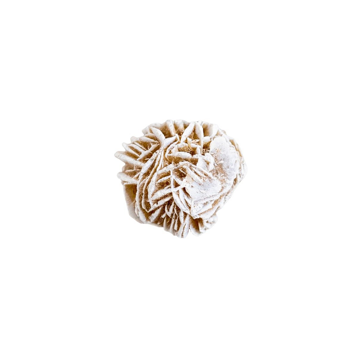 Desert Rose