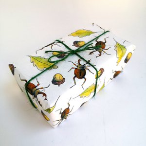 Mini Geschenkpapier - Hirschkäfer