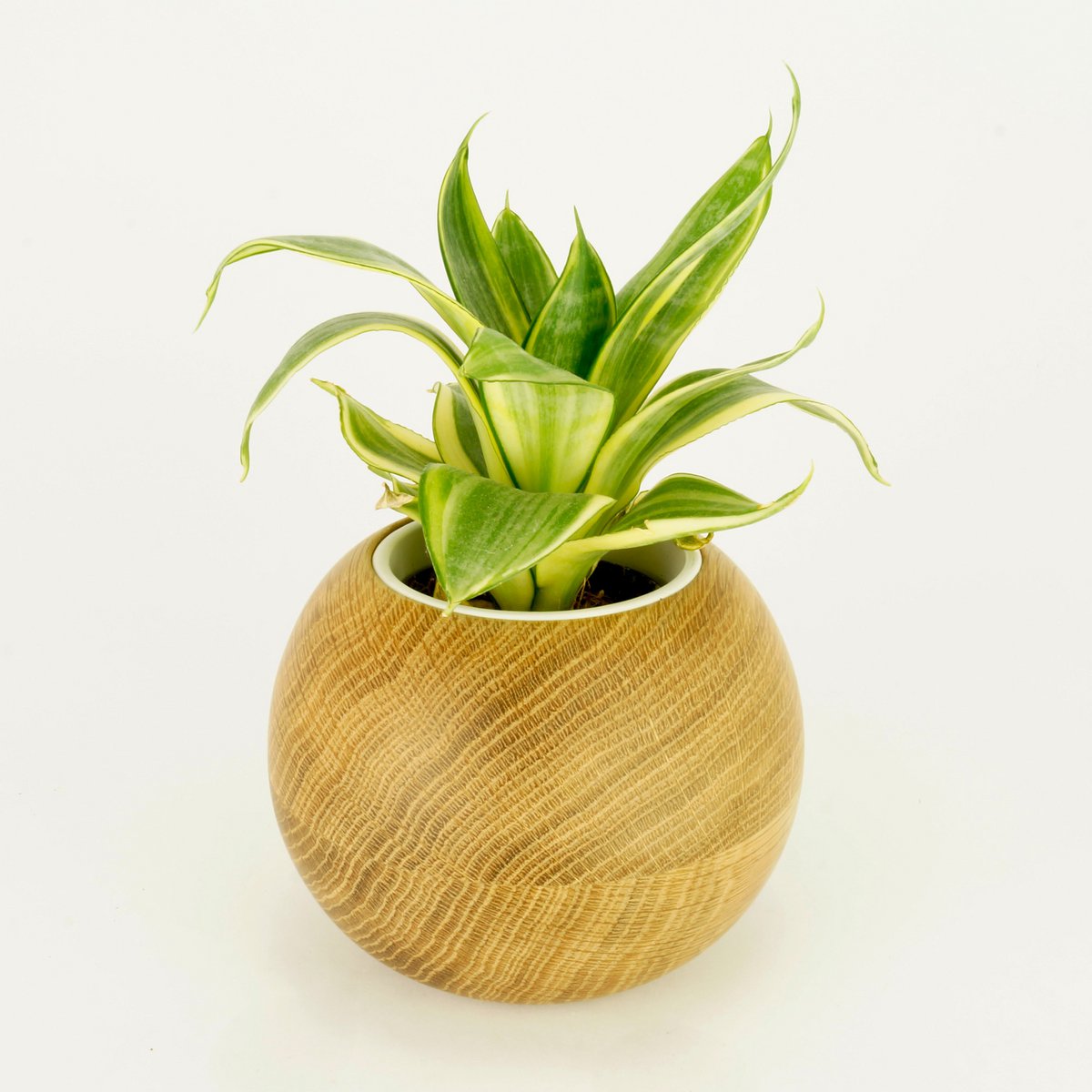 Flowerpot Sphere