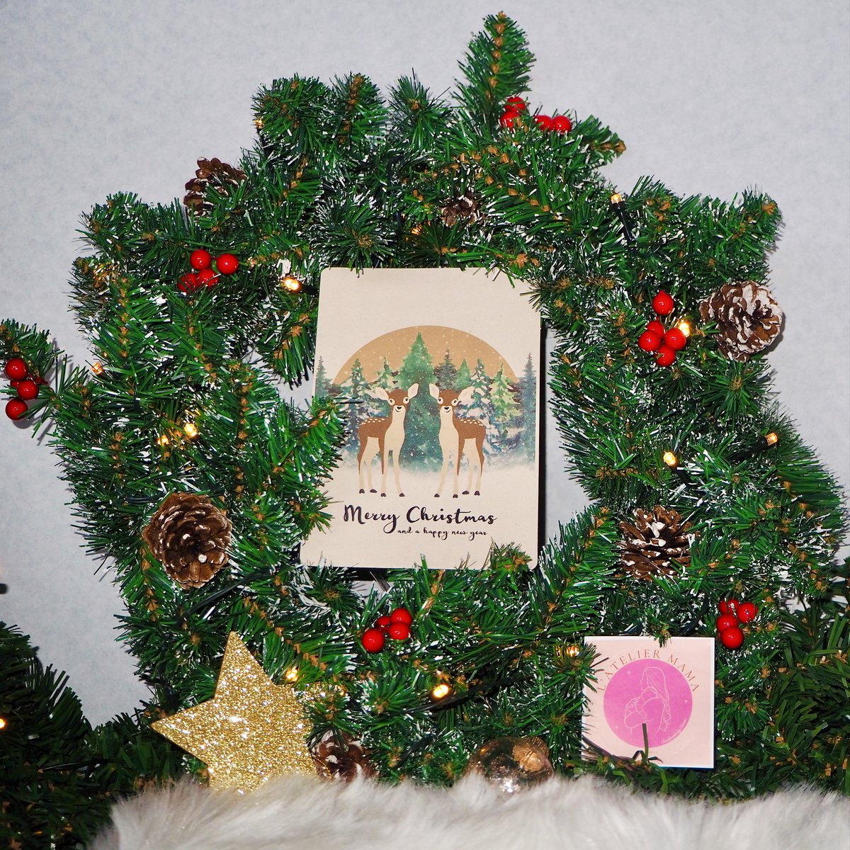 Christmas card 'Deer Randy & Ronnie'