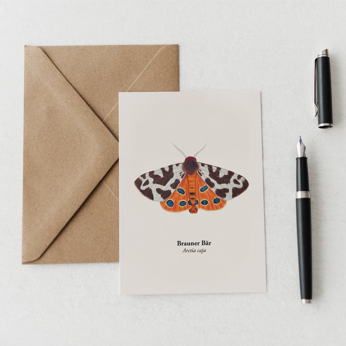 Postkarte Nachtfalter – Brauner Bär (Arctia caja), Miniprint A6