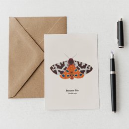 Postcard Nachtfalter - Brauner Bär (Arctia Caja), Miniprint A6