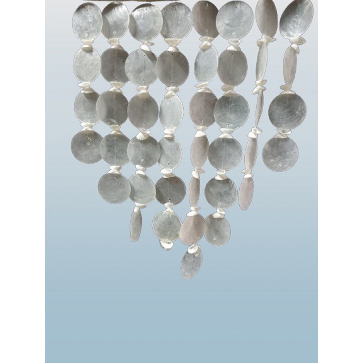 Cintre de coquille