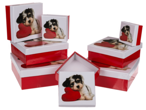 Rood/witte geschenkdozen, Hond met hart,