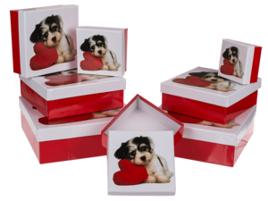 Rood/witte geschenkdozen, Hond met hart,