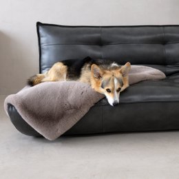SOFT AFFAIR knuffeldeken voor honden