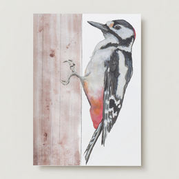 Spotted woodpecker greeting card featuring a detailed illustration of a woodpecker on a wooden background.