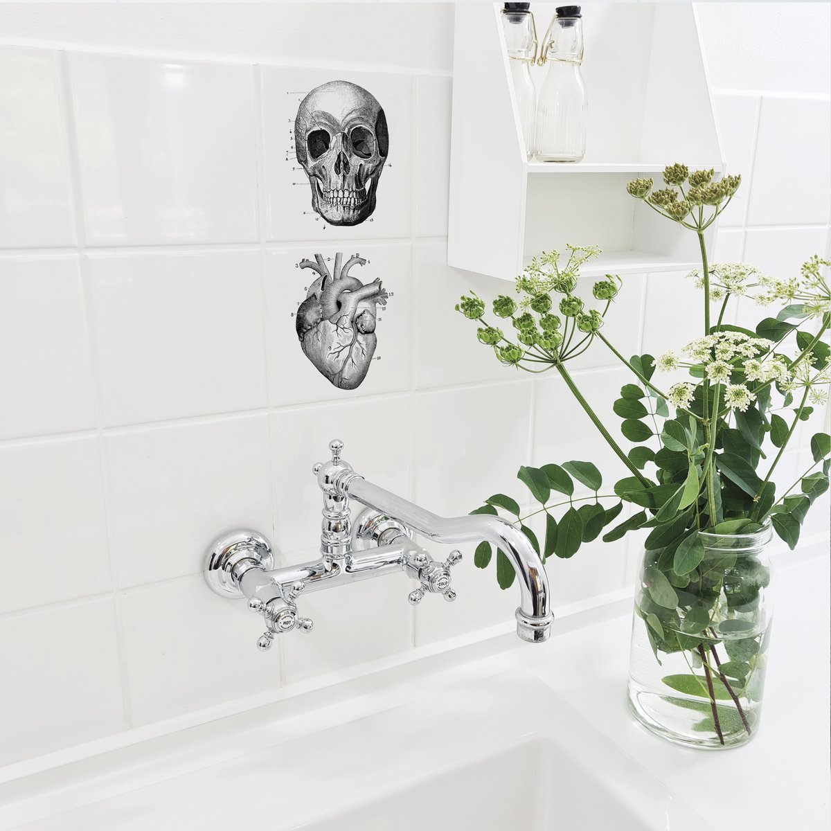 Anatomie - stickers voor tegels