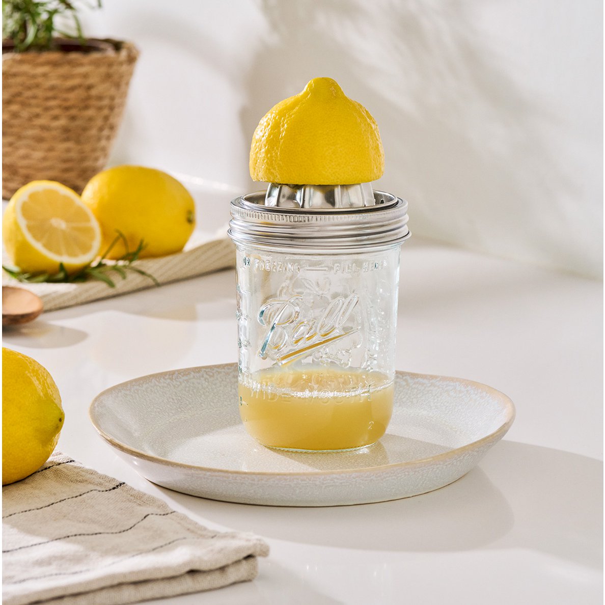 Juicer, 450 ml, glass/stainless steel