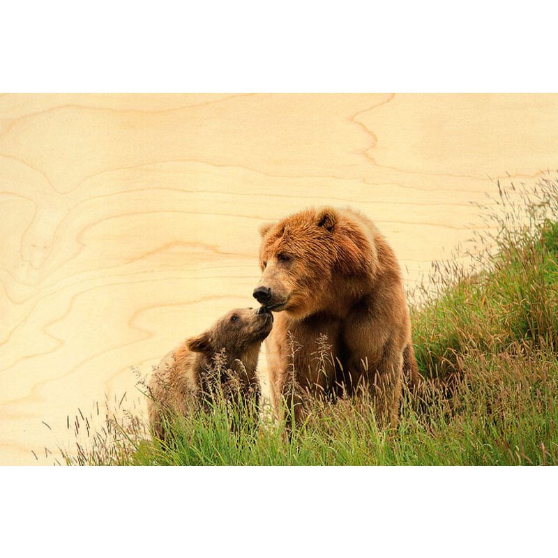 CARTE POSTALE BOIS ANIMAUX OURS MAMAN ET BÉBÉ