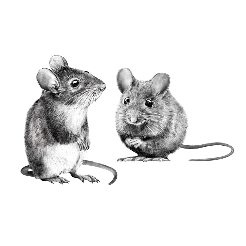 Ensemble d'autocollants muraux de souris en bois