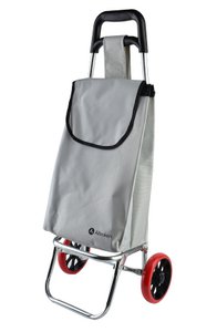 Shopping Trolley ALLESKEN Grey 35x26x85.5cm