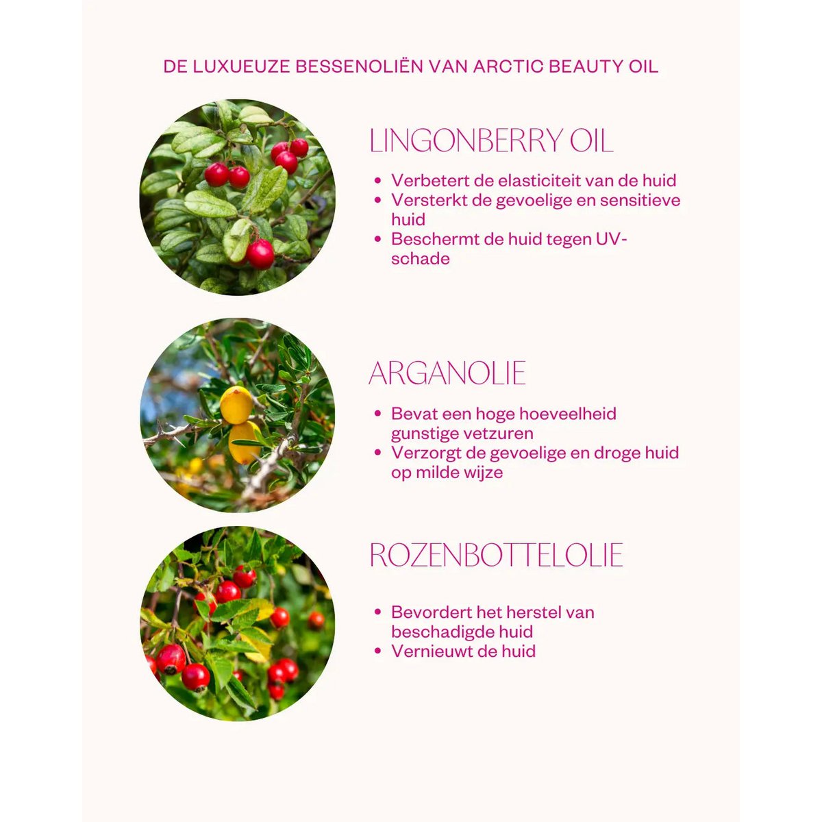 Arctic Beauty Oil - Gezichtsolie voor de droge huid