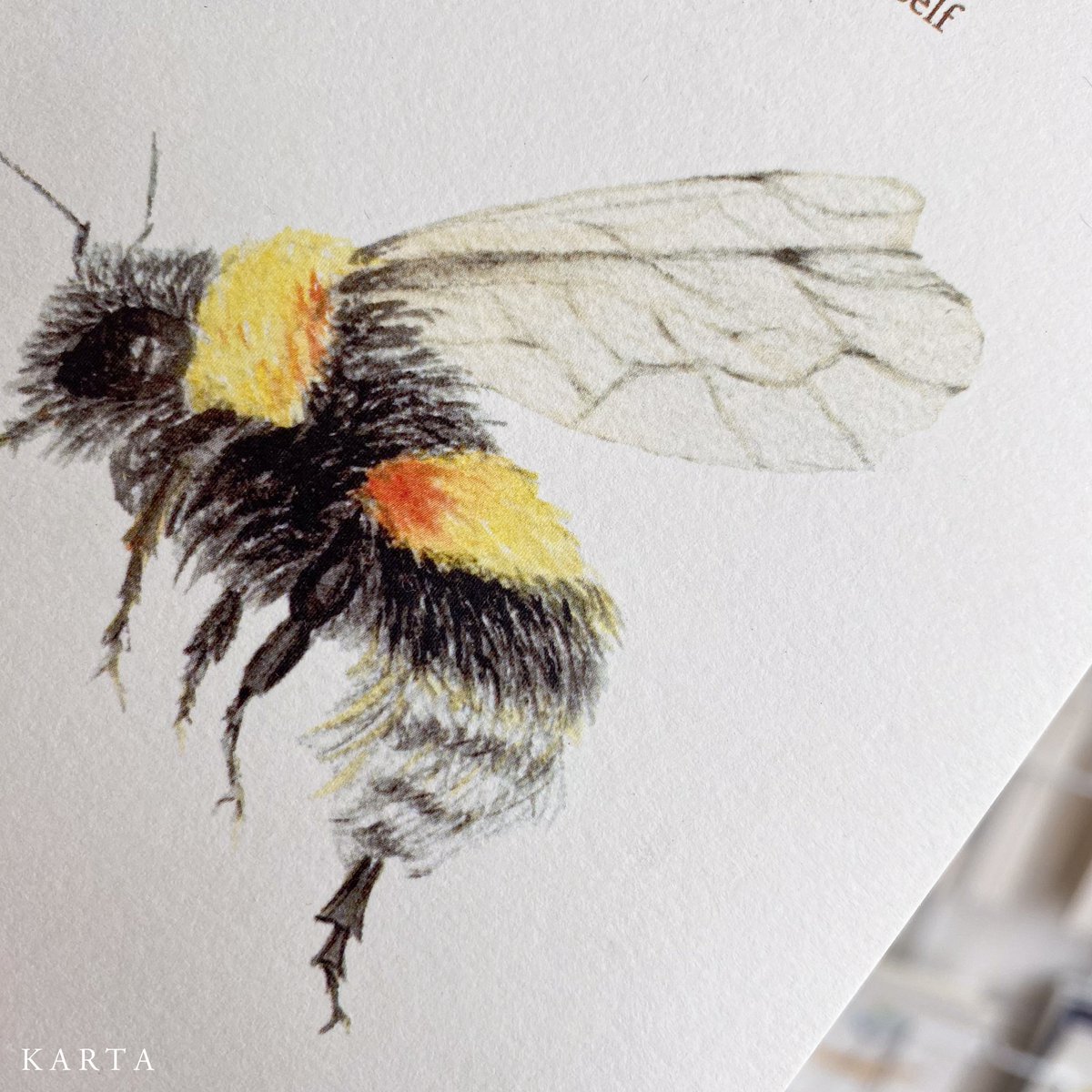 Kartka z życzeniami - BEE-lieve