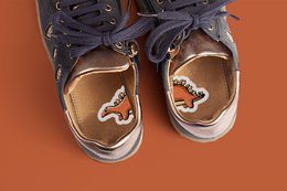 Dinosaurios - Pegatinas para zapatos