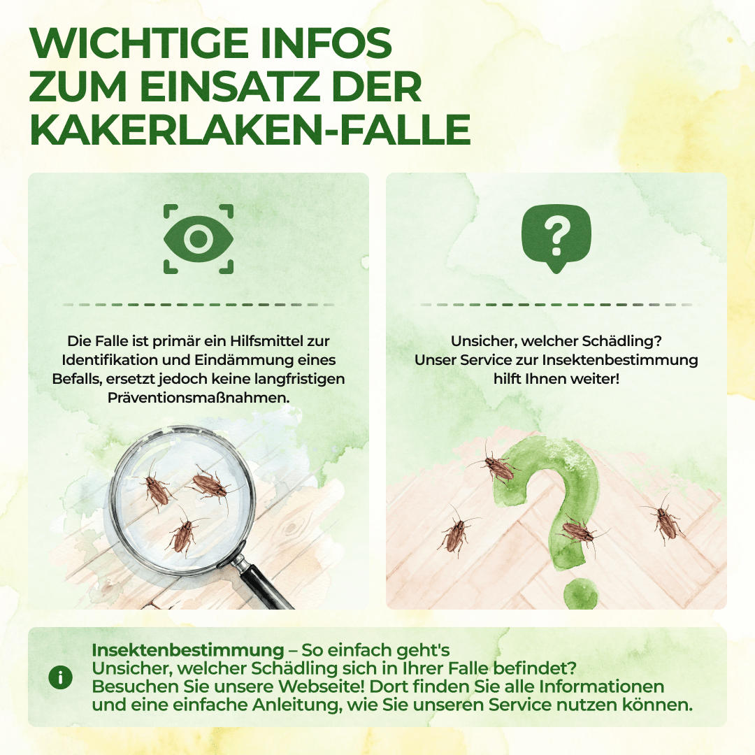 Kakerlaken / Schaben Falle