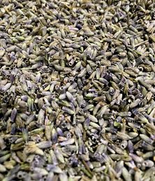 Organic lavandin flower "extra clean" quality, dried flowers in various sizes, natural and earthy tones.