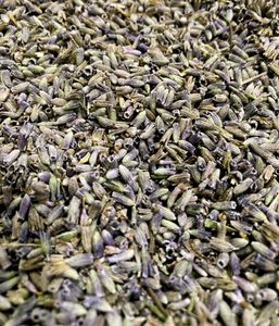 Organic lavandin flower "extra clean" quality