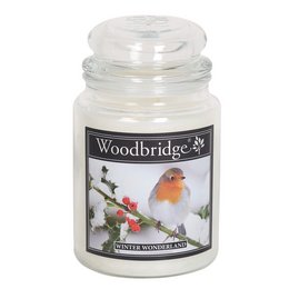 Large, round, white scented candle in a glass jar with a winter bird and holly design on the label.