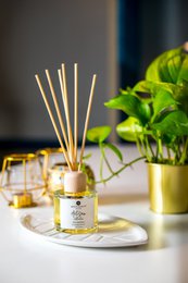 Artisan CollectionRose Geranium Aromatherapy Reed Diffuser(100 ml / 3.4 fl oz)