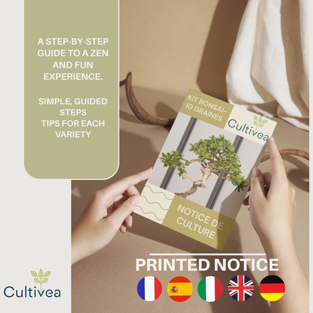 CULTIVEA® Kit of 10 Bonsai to Plant – Complete Box with Seeds, Pots, Tools & Instructions – Easy Indoor Planting Kit – Gardening Gift Idea | Made In France