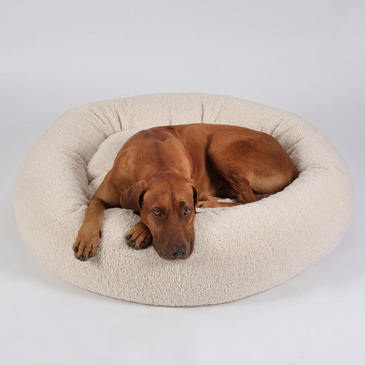 Hundekissen Donut Kuschelnest LOOP Paddy creme