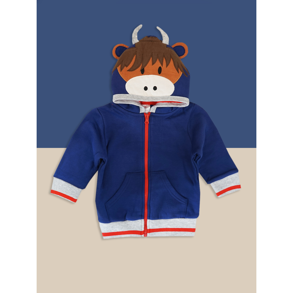 Projekt krowy Hamish Highland