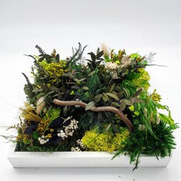 Stabilized square plant table 20 x 20 cm