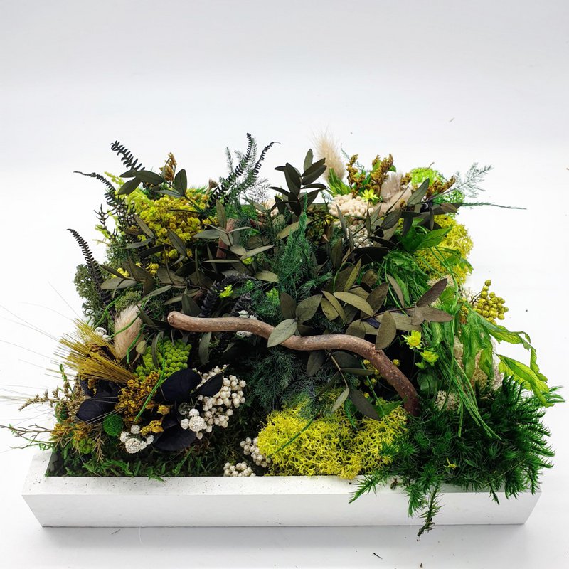 Firkantet stabiliseret plantebillede 20 x 20 cm