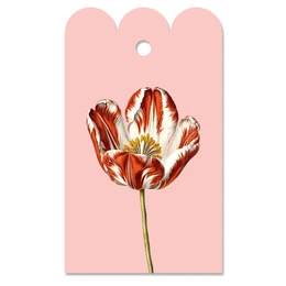 Gavedag tulipan
