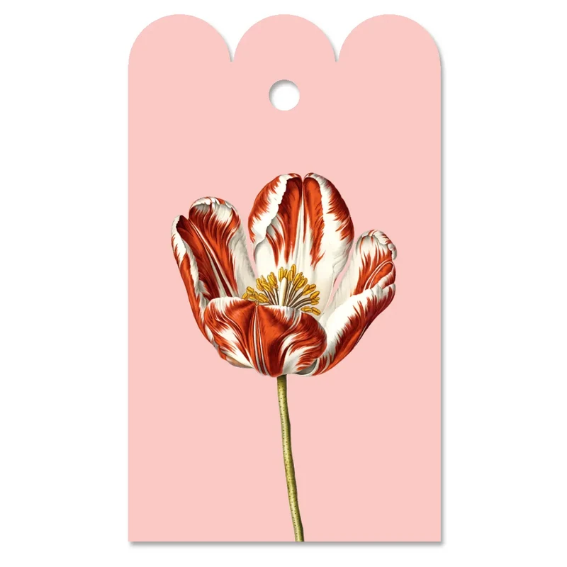 Gavedag tulipan
