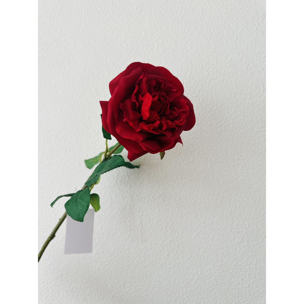 QMF Mano Toque Rosa 65cm 1PCS rojo