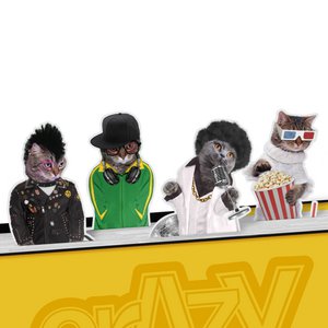 Senf - Desktop -Seitenmarkierungen magnetische verrückte Katzen Set von 4 Teilen - Multicolor