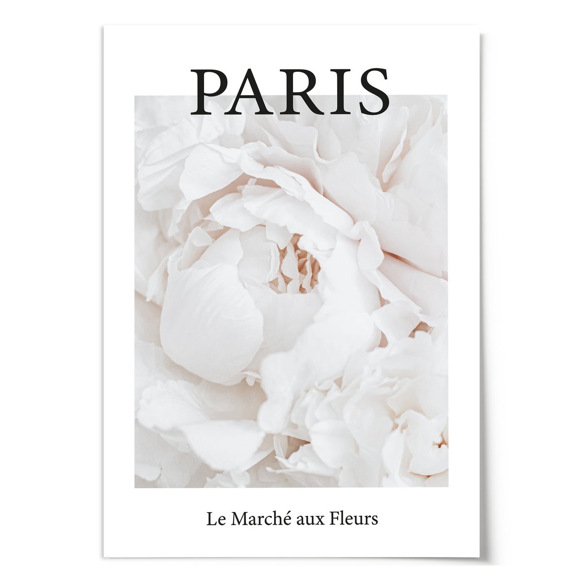 Poster: Paris - Le Marché aux Fleurs