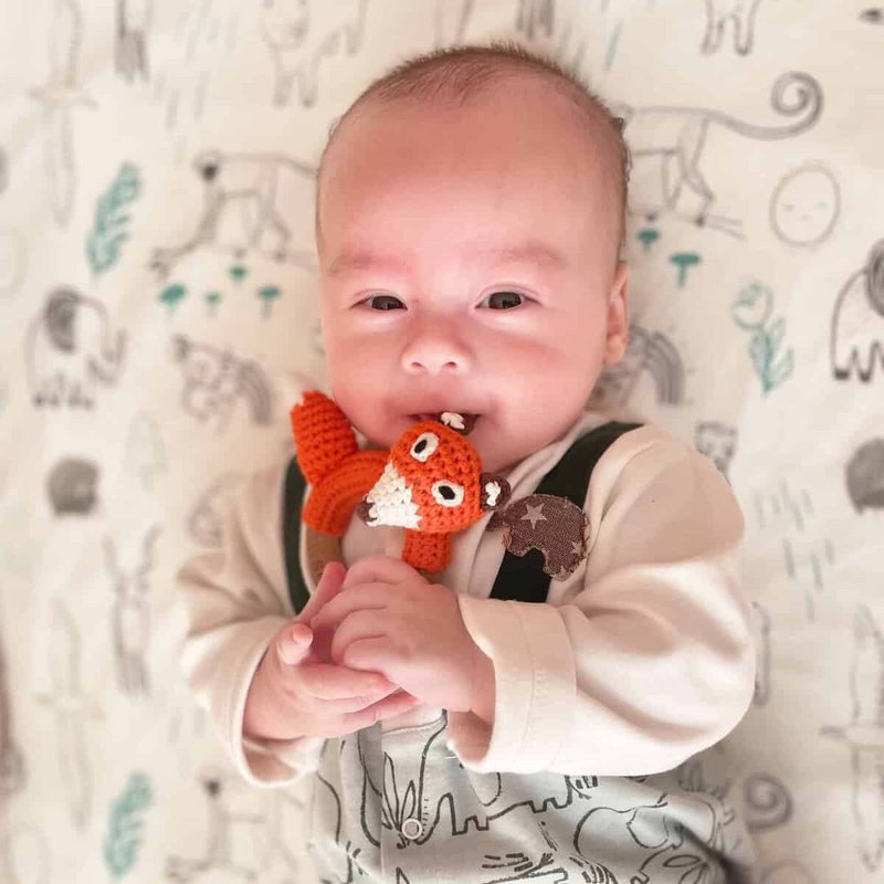 Crocheted grasping toy fox FRED (organic)